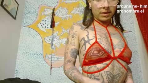 Curuba online show from 25, 12, 2024