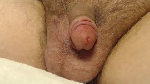 curve66 online show from 10, 1, 2026