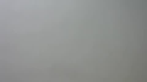 liz online show from 24, 6, 2026