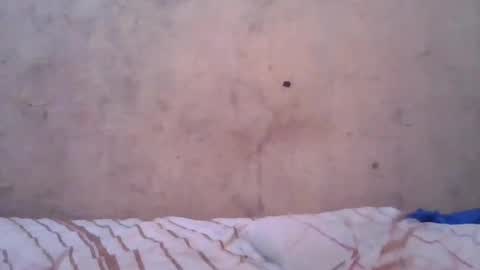 cute_divah4 online show from 12, 6, 2026