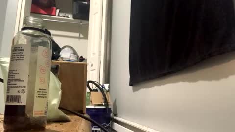 Snapshot of cutealisandra chatting on 3, 2, 2026 cutealisandra online show from 3, 2, 2026