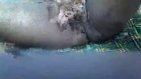 daddy online show from 16, 11, 2025