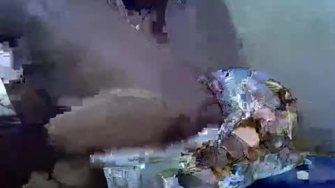 cutesexy44 online show from 18, 10, 2025