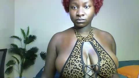 Amaya online show from 28, 4, 2026