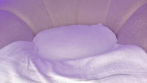 Hannah online show from 2, 12, 2025