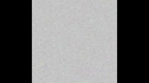 Wedito online show from 17, 12, 2025