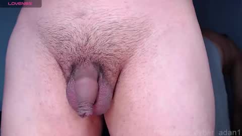 cyber online show from 16, 1, 2025