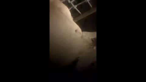 Snapshot of da_p44 chatting on 22, 3, 2026 da_p44 online show from 22, 3, 2026