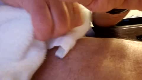 Snapshot of daaavy11 chatting on 19, 2, 2026 daaavy11 online show from 19, 2, 2026