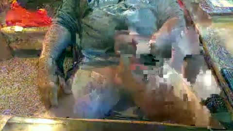 dabaatendae online show from 12, 1, 2025