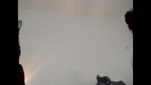 daddi_stick online show from 23, 5, 2026