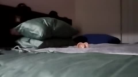 Snapshot of daddy69sx77 chatting on 6, 2, 2026 Kasey Xdresser online show from 6, 2, 2026