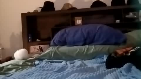 Snapshot of daddy69sx77 chatting on 17, 2, 2026 Kasey Xdresser online show from 17, 2, 2026