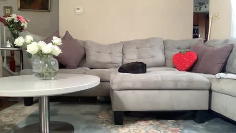 Snapshot of daddy_daycare_ chatting on 22, 2, 2026 Belle Email daddydaycarecb online show from 22, 2, 2026