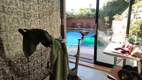 bas online show from 9, 11, 2025