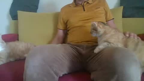 daddycomehome1 online show from 1, 6, 2026