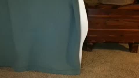 daisy June online show from 3, 10, 2025