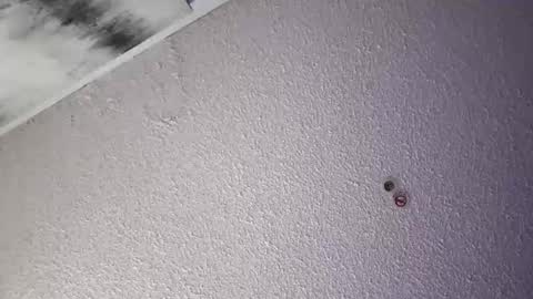 PapiGuerodaddysgirl online show from 4, 4, 2026