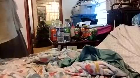 Snapshot of daddyshome4115 chatting on 13, 12, 2025 Daddyshome4115 online show from 13, 12, 2025