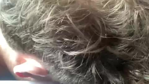 daddyswede23 online show from 9, 4, 2026