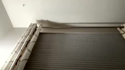 daddyweis online show from 16, 9, 2025