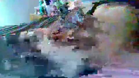 dafo1980 online show from 22, 2, 2026