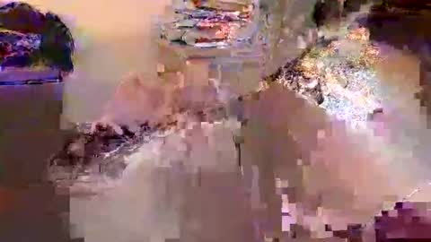 Snapshot of dafo1980 chatting on 17, 4, 2026 dafo1980 online show from 17, 4, 2026