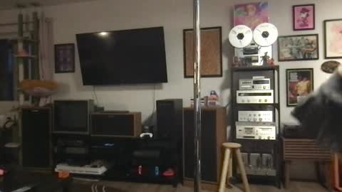 daisymynx online show from 6, 4, 2026