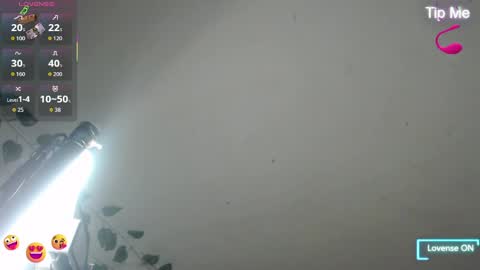 Dakko online show from 8, 4, 2026