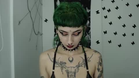 dakota online show from 7, 12, 2024