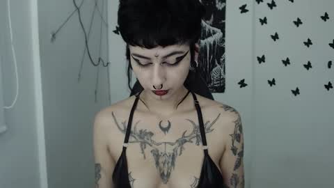 dakota online show from 31, 1, 2025