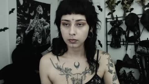 dakota online show from 11, 6, 2026