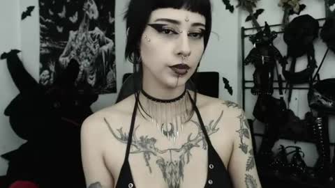dakota online show from 4, 7, 2026