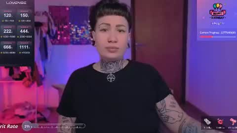 Dakota online show from 21, 7, 2026