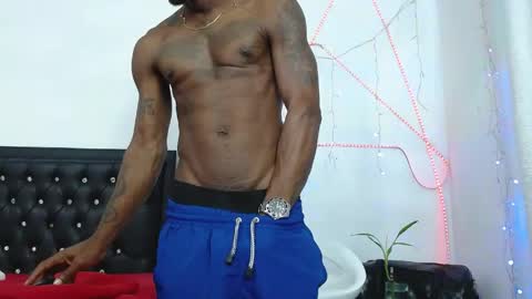 damian_hart_24cm online show from 21, 4, 2026