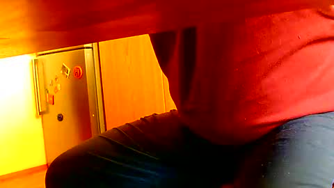 Dammerl online show from 8, 1, 2025