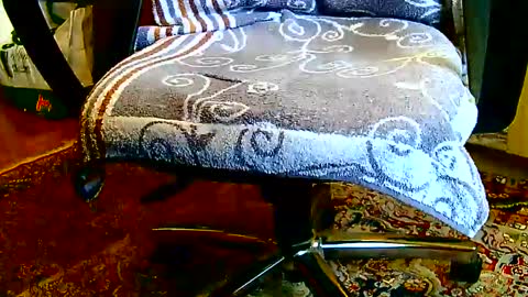 Dammerl online show from 23, 1, 2025