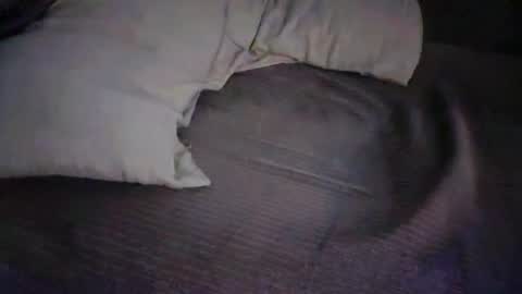 Snapshot of dan5666 chatting on 27, 11, 2025 dan5666 online show from 27, 11, 2025