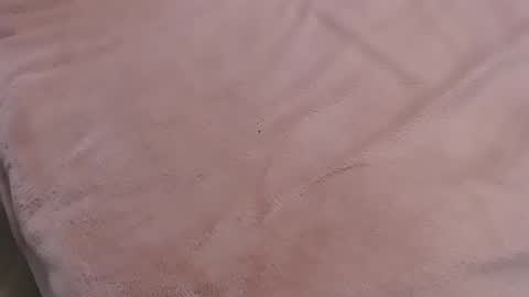  Danna Lovense is activeThere are legends that in this room all your wishes can come true  Private is Open online show from 11, 1, 2025