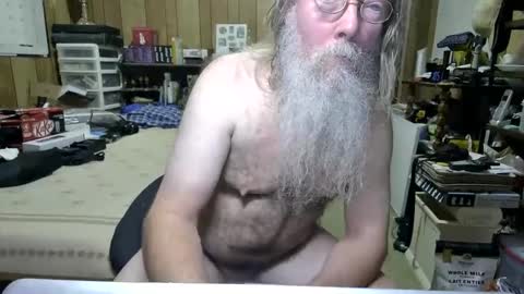 Dana online show from 16, 12, 2024