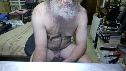 Dana online show from 19, 4, 2026