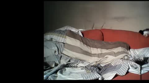 dane1982 online show from 1, 1, 2025