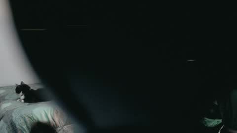 Snapshot of dani_jocelyn chatting on 2, 3, 2025 dani y jocelyn online show from 2, 3, 2025