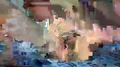 Snapshot of daniel_griffin chatting on 20, 5, 2026 daniel_griffin online show from 20, 5, 2026