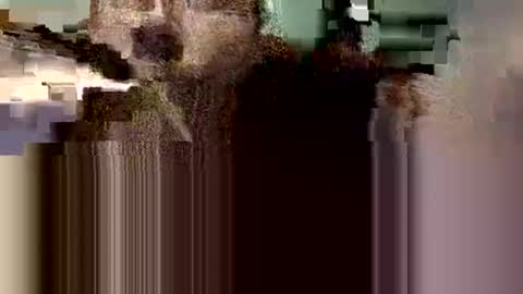 danieldayz online show from 9, 10, 2025