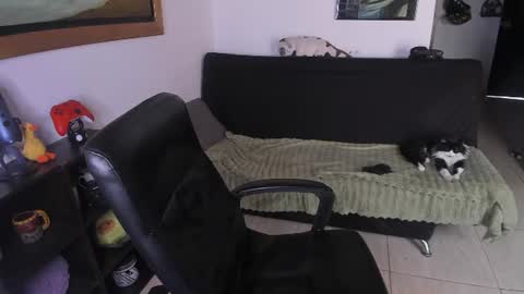 Snapshot of daniele_bunny chatting on 2, 8, 2026 Daniele Bunny online show from 2, 8, 2026