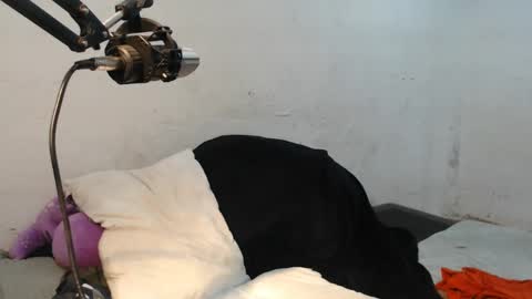 Snapshot of danielitopapii chatting on 13, 12, 2024 danielitopapii online show from 13, 12, 2024