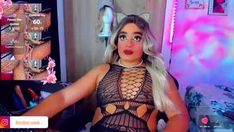 danipein online show from 7, 5, 2026