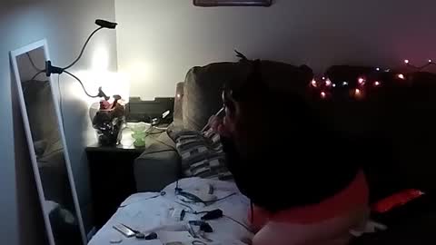 Dani And Daddy online show from 13, 12, 2024