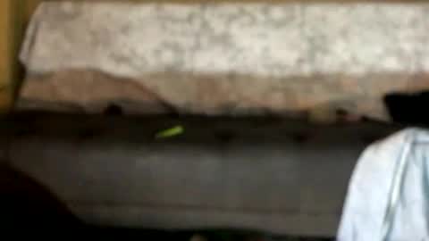 Snapshot of dankshepp chatting on 12, 10, 2025 dandeb online show from 12, 10, 2025